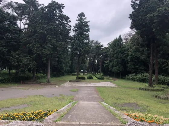 中央通り