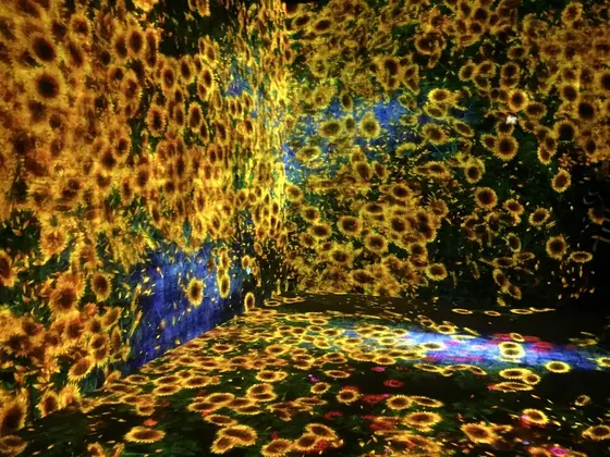 暗がりの中入っていくと...!