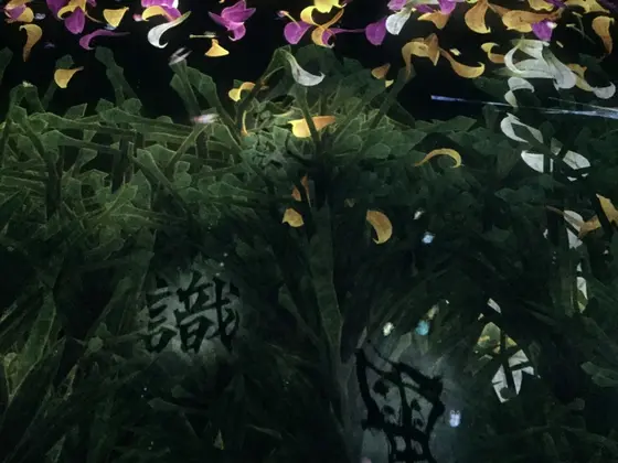 漢字に触れると変化します