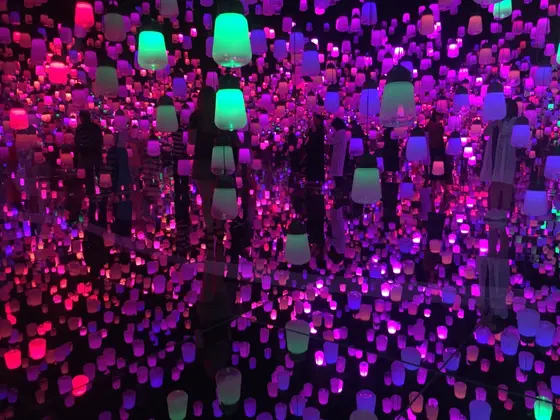 光るランプの森