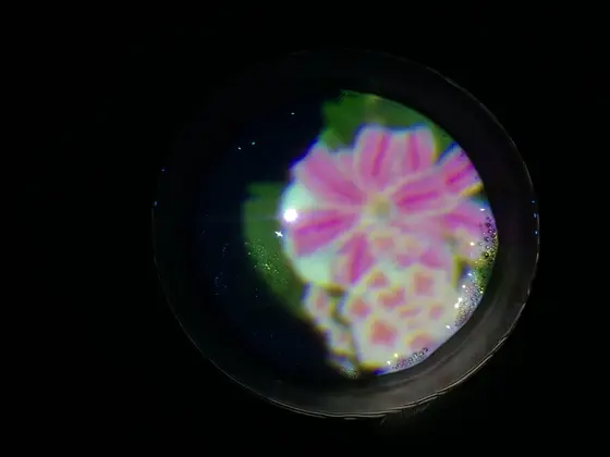 お花が浮かぶティーハウス