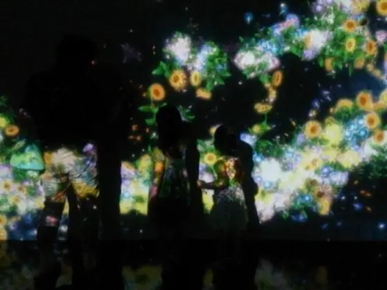 恋叶ロード沿いにあるチームラボギャラリーはデートにおススメ