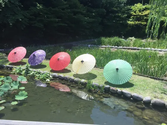 スポット内のおすすめ