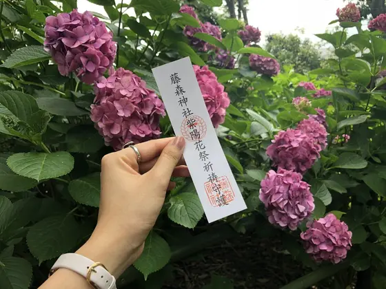 紫陽花と共に♡