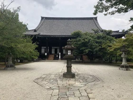 🍃
