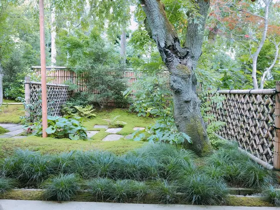 目の前は庭園