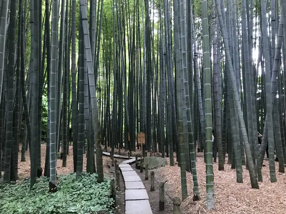 人が写り込まないようタイミングを見計らって