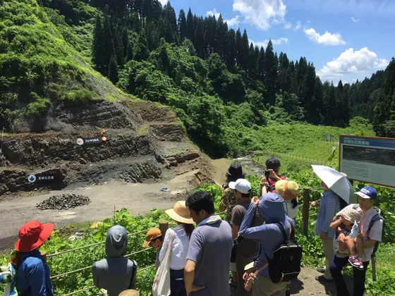 実際の発掘現場を見て回れるのが醍醐味