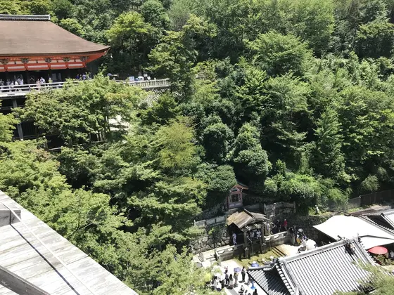 スポット内のおすすめ