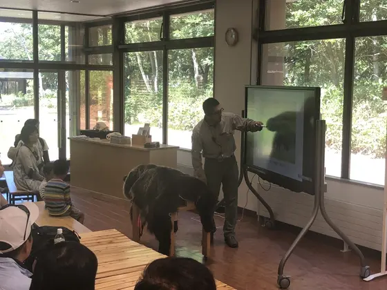 ヒグマ解説
