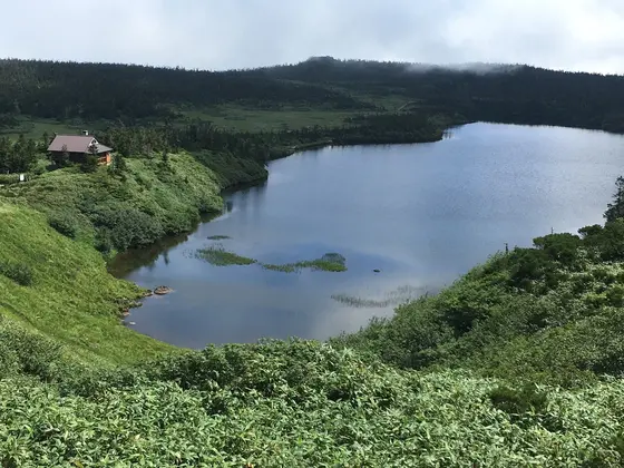 八幡平沼