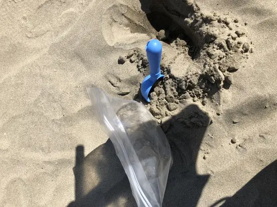 御砂を頂く。