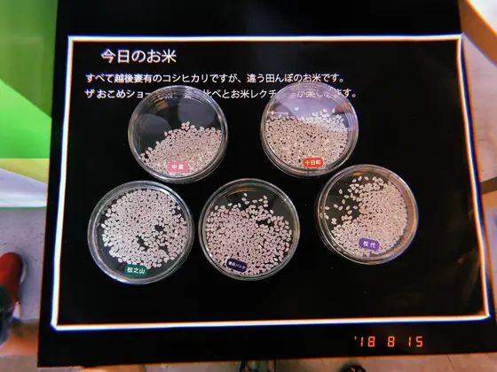 スポット内のおすすめ