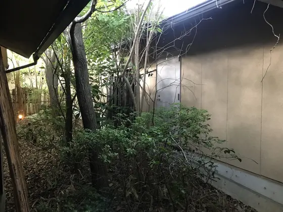 中庭も勿論有ります。