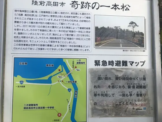 死んでいた奇跡の一本松