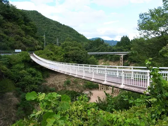 横から