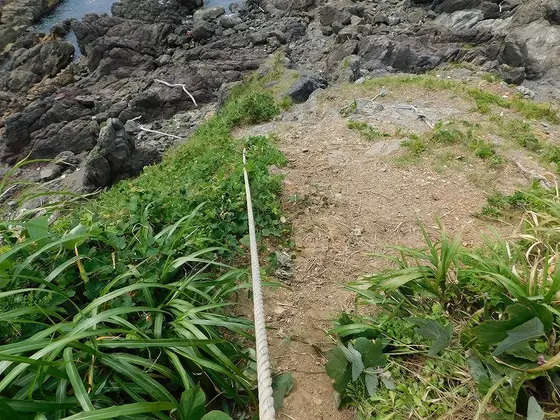 足場の確保