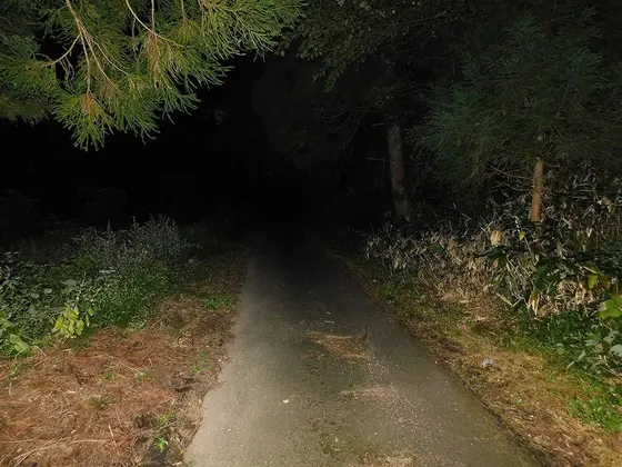茶臼峠・１