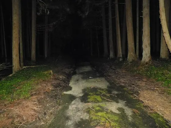 茶臼峠・２