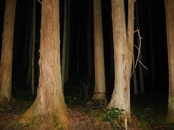 茶臼峠・３