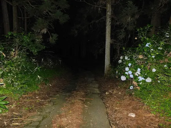 茶臼峠・４