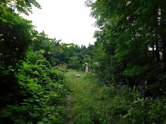 何か見えてきた