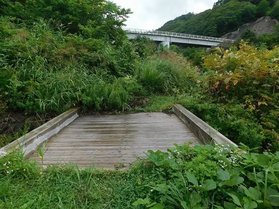 あやめ