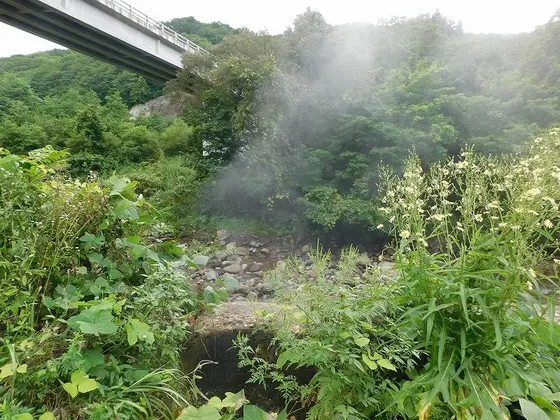 湯気立つ