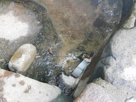 栓