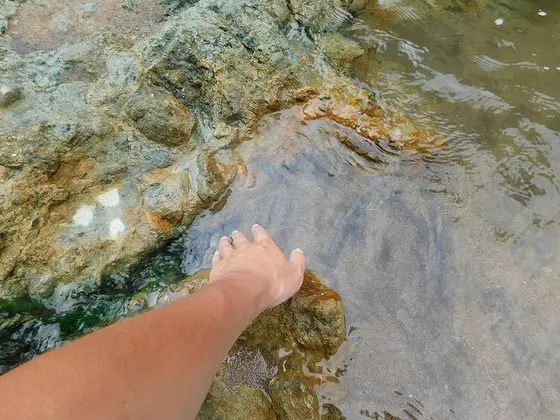 湯
