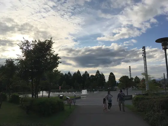 近くには大きな公園もあります