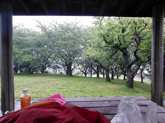 東屋からの風景