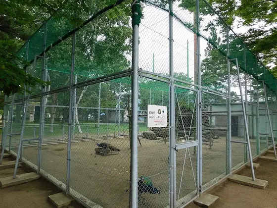 小動物園