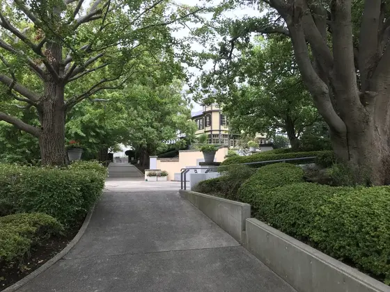 趣きのある道