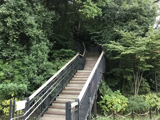 展望台への階段