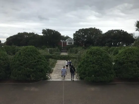 沈床花壇