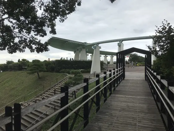 見えましたね。