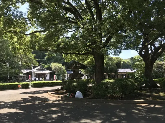木漏れ日がキラキラしてます。