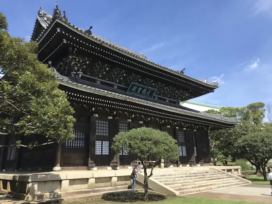 なので斜め前から