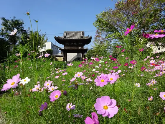 国宝の楼門