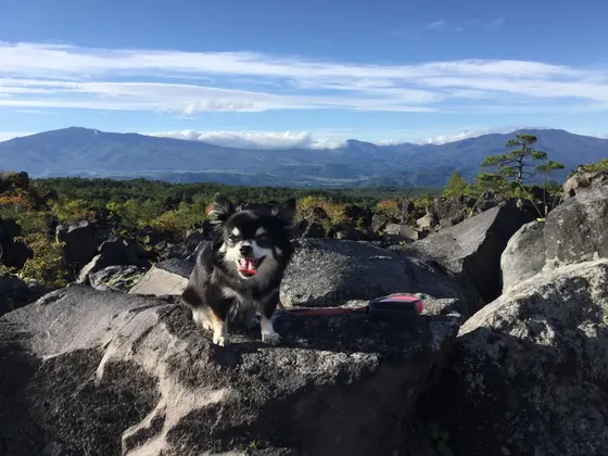 溶岩と周辺の山々に囲まれた景色