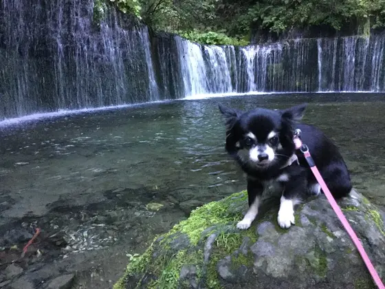 混雑の合間を縫って取れた一枚