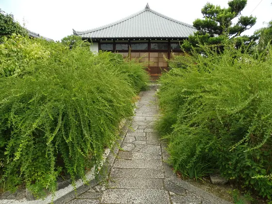 勝海舟ゆかりの寺