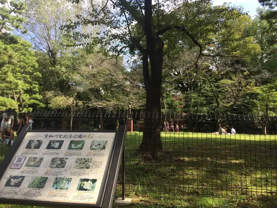 芝生広場もいい感じでした✨