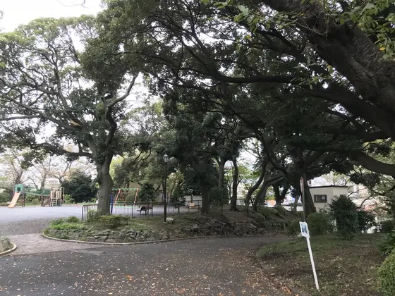 桜の古木が見事です。