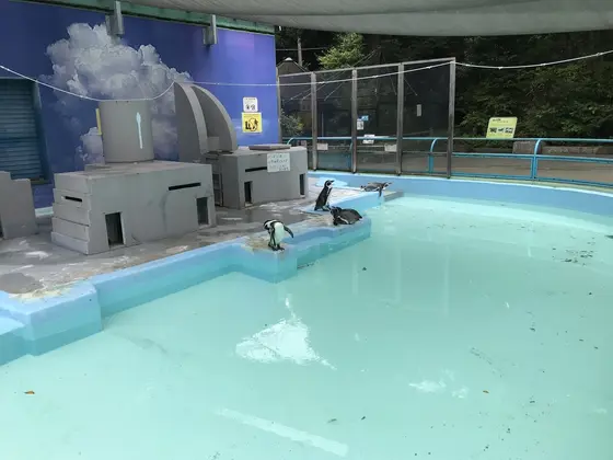 動物も撮っておかないとw