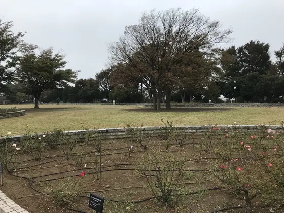 広大な芝生が広がります。