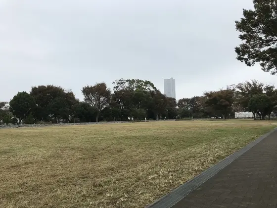 嫌と言う程見えますw