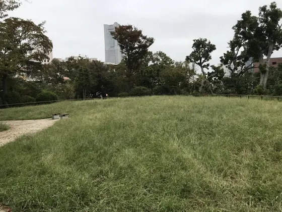 散策地区の展望広場？