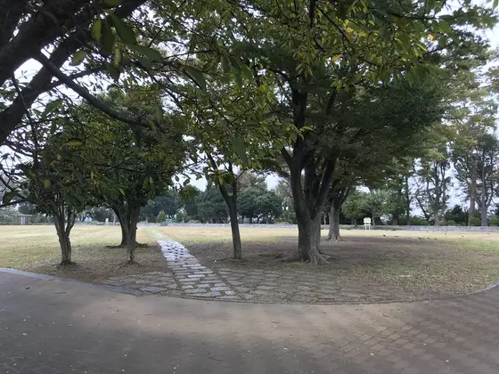 芝生の中に一直線の歩道が